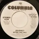 7inch Vinyl Single - Journey - After The Fall