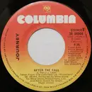 7inch Vinyl Single - Journey - After The Fall