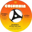 7inch Vinyl Single - Journey - After The Fall