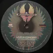 LP-Box - Journey - Live In Concert At Lollapalooza - 180g Vinyl
