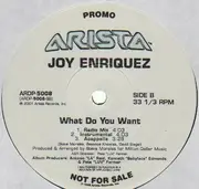 12inch Vinyl Single - Joy Enriquez - What Do You Want
