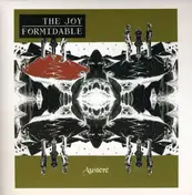 The Joy Formidable - Austere