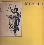 12inch Vinyl Single - Joy Of Life - Enjoy