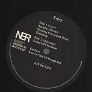 12inch Vinyl Single - Joy Of Life - Enjoy