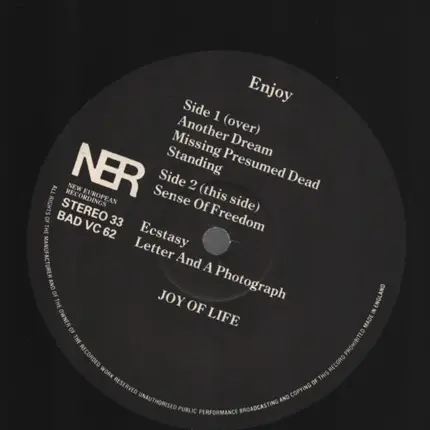 Joy Of Life - Enjoy