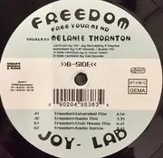 12inch Vinyl Single - Joy-Lab - Freedom (Free Your Mind)