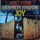 7inch Vinyl Single - Joy - Next Year / Two Different Things