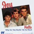 7inch Vinyl Single - Joy - Hello