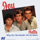 7inch Vinyl Single - Joy - Hello