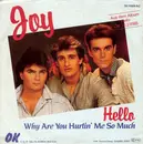 7inch Vinyl Single - Joy - Hello