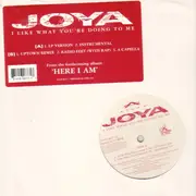 12inch Vinyl Single - Joya - I Like What You're Doing To Me