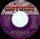 7inch Vinyl Single - Joyce 'Fenderella' Irby - Mr. D.J.