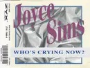 CD Single - Joyce Sims - Who's Crying Now?