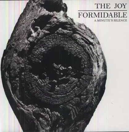 JOY FORMIDABLE - A MINUTE'S SILENCE