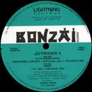 12inch Vinyl Single - Joyrider - II