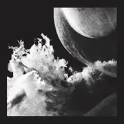 12inch Vinyl Single - Jlin - Embryo