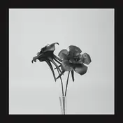 Jlin - Dark Lotus