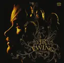 CD - JR Ewing - Maelstrom - Black Disc, digipak