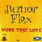 12inch Vinyl Single - Junior Flex - Work That Love