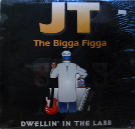 JT the Bigga Figga - Dwellin' In The Labb