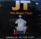JT the Bigga Figga - Dwellin' In The Labb