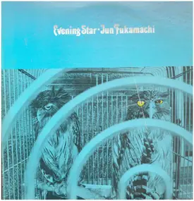 Jun Fukamachi - Evening Star