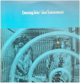 Jun Fukamachi - Evening Star