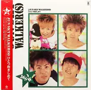 LP - Jun Sky Walker(s) - ひとつ抱きしめて - + Obi, Insert