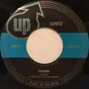 7inch Vinyl Single - Juned - Possum