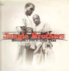 Jungle Brothers - Because I Got It Like That