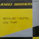 12inch Vinyl Single - Jungle Brothers - Because I Gotta Like That