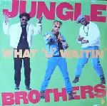 12inch Vinyl Single - Jungle Brothers - What 'U' Waitin' 4?