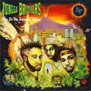 LP - Jungle Brothers - Done By The Forces Of Nature