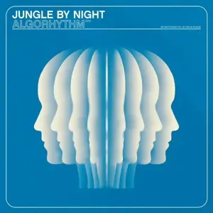 Jungle BY Night - Algorhythm