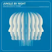 jungle by night - Algorhythm