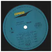 LP - Junichi Inagaki - Shylights = シャイライツ - Insert