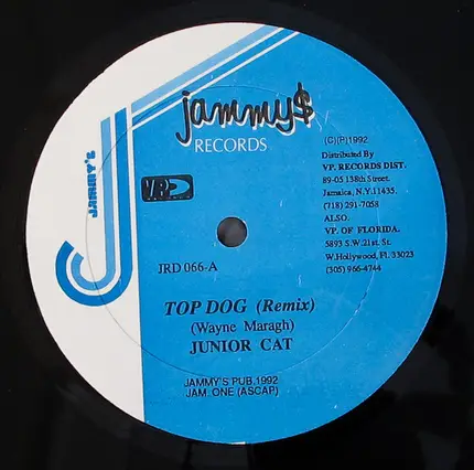 Junior Cat - Top Dog
