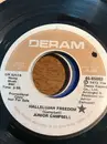 7inch Vinyl Single - Junior Campbell - Hallelujah Freedom
