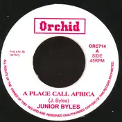 junior byles - A Place Call Africa