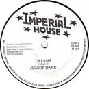 12inch Vinyl Single - Junior Dan - Dreams