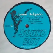 Double LP - Junior Delgado - Original Guerilla Music