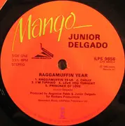 LP - Junior Delgado - Raggamuffin Year