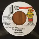 7inch Vinyl Single - Junior Kelly - Joy And Splendour