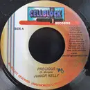 7inch Vinyl Single - Junior Kelly - Precious