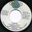 7inch Vinyl Single - Junior Kelly / Teflon - Wonderful / Love Your Life