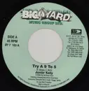7inch Vinyl Single - Junior Kelly - Try A 9 To 5
