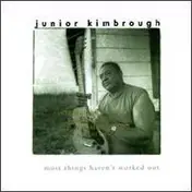 Junior Kimbrough - Most Things Haven't Worked Out