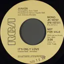 7inch Vinyl Single - Junior - It's Only Love