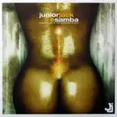 12inch Vinyl Single - Junior Jack - E Samba