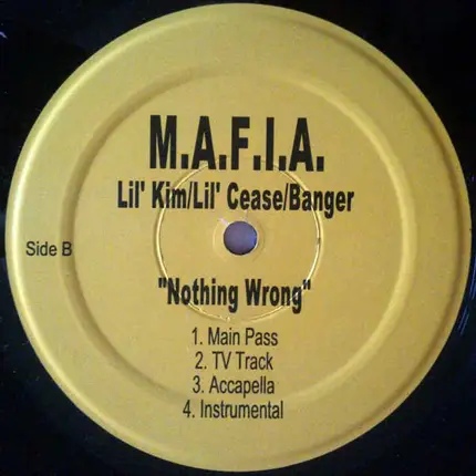 Junior M.A.F.I.A. - Nothing Wrong